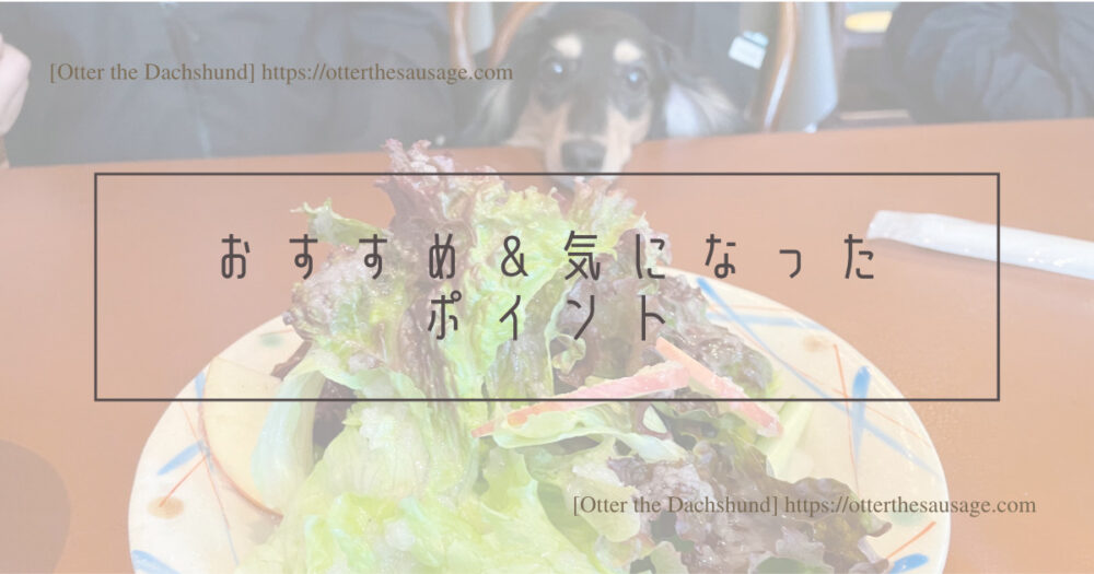 Header Image_Otter the Dachshund_travel with dogs_hang out with dogs_犬旅ブログ_犬とお出かけブログ_旧軽井沢_GUMBOガンボー_おすすめ＆気になったポイント
